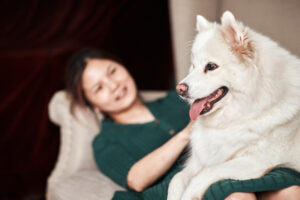 母亲跌倒骨折,毛小孩来解危!“三宝之家”复健路不悲戚,幸运再添后援好帮手
