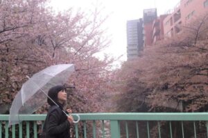 吴淡如/中年教我的事:因为懂得无常,宝贵的就珍惜,自由是快乐!