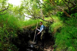 他任企业董事长，竟没在工作…独自去登山！大病后体悟：公司全交给总经理，否则花钱请他来干嘛？