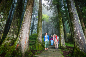 大自然,是最好的医生!江育诚:心灵净化的11个修练,享受惬意的退休人生