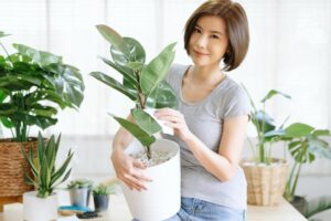 后半生安安稳稳，才是富足人生！将“3个欲望”缩减，打造自在快意的第二人生