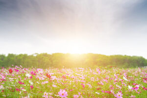 人生在世不过几个秋,凡事不必太执着!黄越绥:要活得久、活得好,最重要的是健康