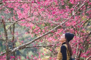 人到最后，都只剩下自己一个人！50后把2个能力培养起来，第三人生才能无忧无虑