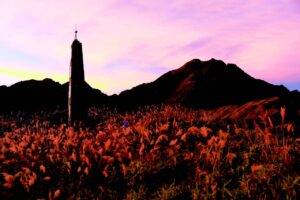 50后追求快乐,无欲则刚!山中岁月教我11件事:世上最重要的事,是离开前高兴地走