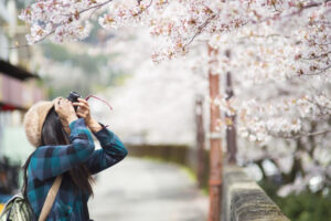 高收入才能早退休？“可支配余额”才是幸福筹码！她43岁退休，年出国2次恣意活