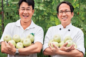 不上市的美浓瓜