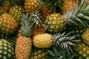 吃葡萄渣的凤梨