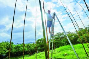 自然与艺术共生　在阡陌之间找寻关渡记忆