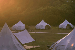 在山林中变魔术–当生活化学遇见勤美学山那村