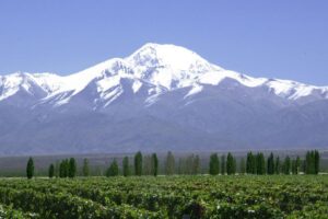 安地斯山 美酒两样情
