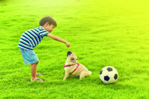 狗年出游去 与毛小孩乐玩台北