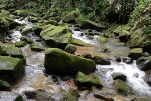 内湖圆觉瀑布步道》远眺台北盆地，尽享山水交织美景