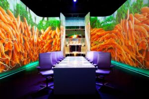 行家带路 究极之美