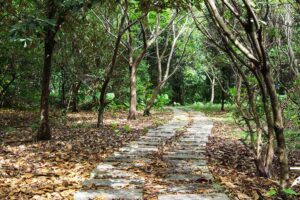 关渡自然公园》捕捉鸟影　漫步大自然的博物馆