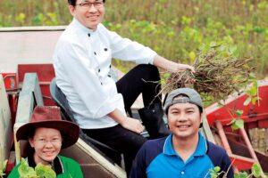 母爱滋养的红豆田