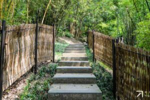 桃园虎头山公园》探索树屋和空中步道,还有森林野餐小确幸