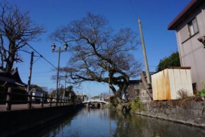 百年老店的新思维：柳川本吉屋