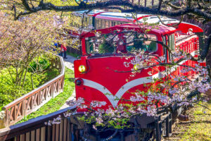 阿里山小火车通车106年 登上Google首页