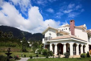 她拼赚钱染重病、差点活不下去！46岁决退休移居台东做民宿，忙碌依旧但却好乐活