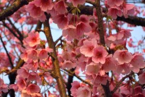 内地台湾走春懒人包！最值得跟家人亲近大自然的10大景点