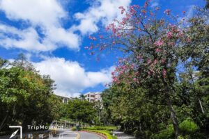 军舰岩亲山步道：归零，拥抱自然的疗愈之旅