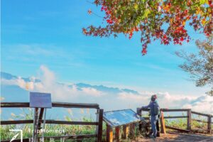 北TW赏枫胜地！除了采草莓，大湖还可以这样玩