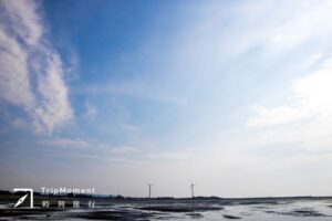 新竹香山湿地》近距离观察招潮蟹!来场湿地生态之旅吧