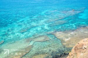 澎湖南方四岛地区公园》清澈海水好惊艳!海胆、鱼儿就在港口里