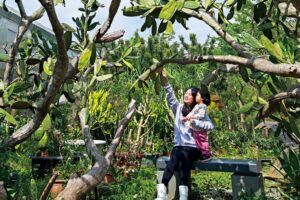 带你幸福逛》日式老屋品茶喝咖啡、探访湿地动植物,4个新竹小景点轻松走、零负担