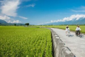 去花东骑单车有多好玩？马来西亚人半年就来了6、7次！退休后随时都能快乐小旅行