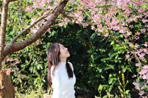 持有时间够久，想赔都很难！这样存股“降成本”安心度过利空股灾，拥抱快乐老后