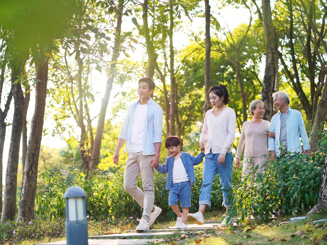 卧床看护费惊人,我就像爸爸的保险公司…双北长照至少1千万,用这平台低保费买高CP值保单 – 大保社
