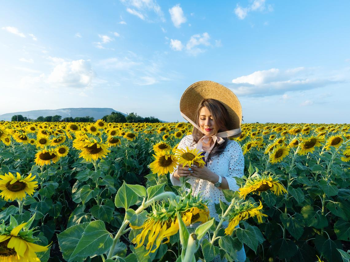 让你达成财务自由目标，安心领息过日子！理好财的9道心法，拒当下流老人、退休金不会用一天少一天 – 大保社