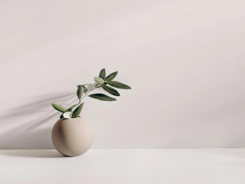 断舍离教我的事：丢东西不是失去，是重新捡回自己，厘清什么是丰足、什么是重要 – 大保社