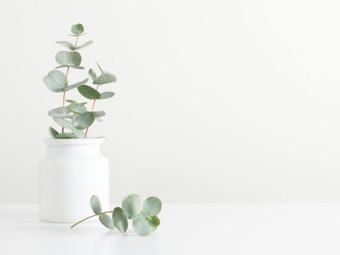 中年后，这50件东西要马上丢！把丢东西变成一种习惯，让人生清爽许多、好事发生 – 大保社