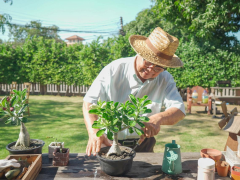 摆脱孤单带来的疾病，这小岛掌握长寿密码！依靠1种关系，百岁人瑞成世界最多 – 大保社