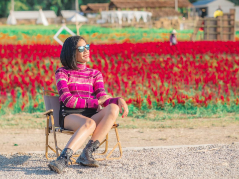 50岁以后，我依旧渴望旅行，且很快又将启程出发！要是成了“遗骨余灰”运费也不过小意思 – 大保社