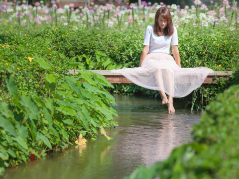 丈夫常联合公婆欺侮，婚后12年她乳癌不到2年过世！3例子启示：母亲角色不幸福，家庭就无法快乐 – 大保社