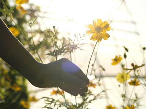 他被母亲当同学的面呼巴掌,竟当场跳楼!1例子启示:他用自己命让父母知道,他们根本不配拥有孩子 – 大保社