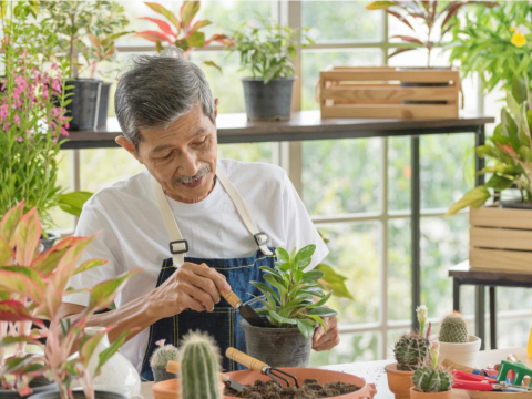 当我跟外公说要吃药、等我假期回来,他没有点头!现在明白,他知道等不到我回来见他了 – 大保社