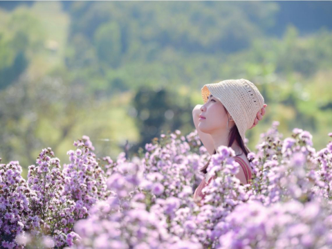 珍惜独自一人时光，思考自己人生！知识像人生旅途的地图，智慧是照亮人生道路明灯 – 大保社