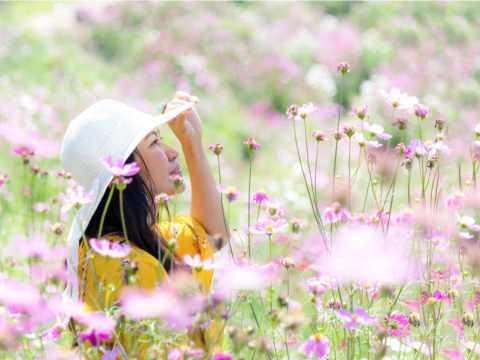 写遗书,竟被妈妈一直哭骂触霉头!儿告白:真正可怕的并不是死亡,而是没有真正活过 – 大保社