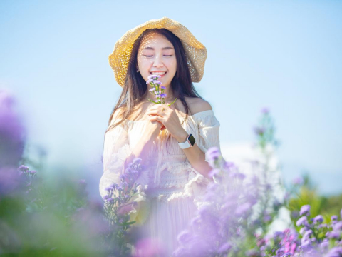 明明是他的错为什么不直说？踢猫效应：我不能跟着生气，否则他对我发火，我又找谁发火呢 – 大保社