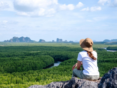 他战功彪炳，为工作还赔上性命，几年后竟没人记得…职场启示：退休后，删掉同事电话的4个理由 – 大保社