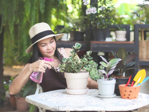 关怀，要出于尊重！幸福的关系，是发自内心真诚的重视一个人，传达一份温暖的情意 – 大保社