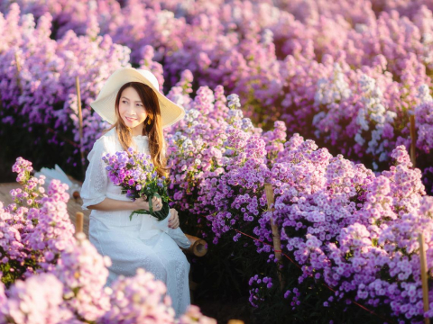 当你弱的时候，感受人心险恶，人人都想踩你一脚！当你强大了，大家忙讨好你，你会觉得世上好人变多了 – 大保社