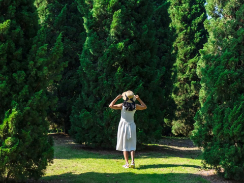 她80几岁跌倒受伤，竟大量颅内出血、恐两天内离世！女儿啜泣：醒醒，不是说好今年我回中国台湾陪你过年？ – 大保社