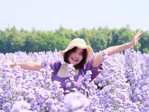 每天花几分钟回想3件好事,就能远离忧郁症!学习感恩,脑中自动激起正面、好情绪 – 大保社