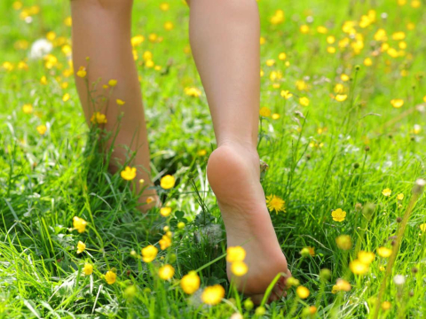 6穴位帮助你解决足底筋膜炎痛苦,中医师推荐 – 大保社