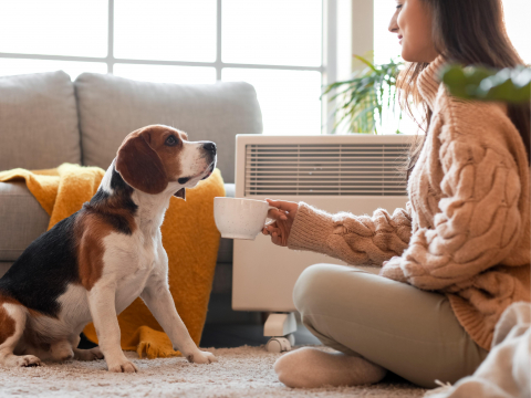 在家开电暖器御寒,忘做“这件事”竟致缺氧、酸中毒!医师提醒3守则安心用,吹暖暖抗寒冬 – 大保社
